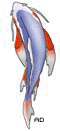 Asagi
