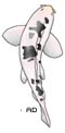 Bekko